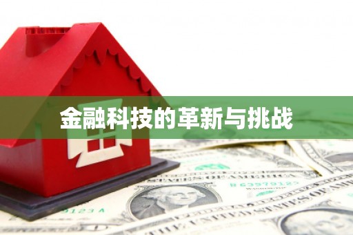 安乐金融科技的革新与挑战