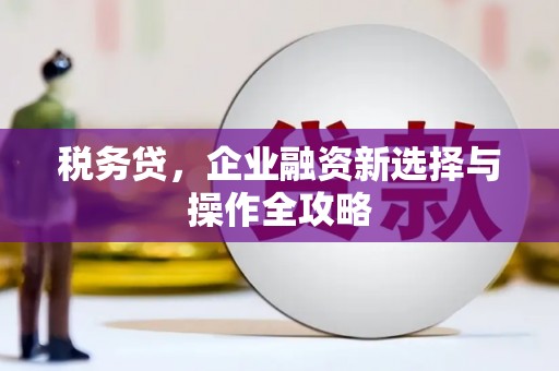 安乐税务贷，企业融资新选择与操作全攻略