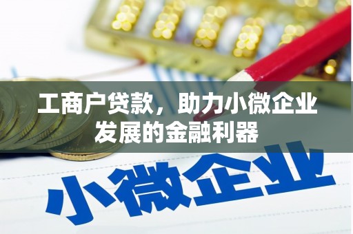 安乐工商户贷款，助力小微企业发展的金融利器