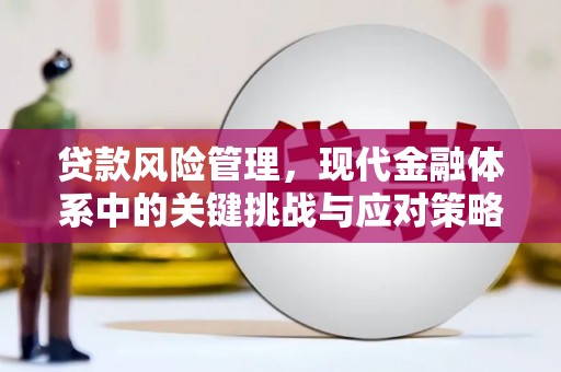 安乐贷款风险管理，现代金融体系中的关键挑战与应对策略