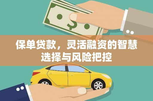 安乐保单贷款，灵活融资的智慧选择与风险把控