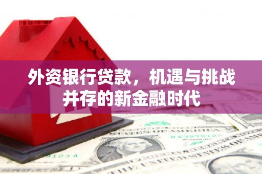 安乐外资银行贷款，机遇与挑战并存的新金融时代
