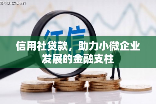 安乐信用社贷款，助力小微企业发展的金融支柱
