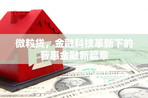 安乐微粒贷，金融科技革新下的普惠金融新篇章