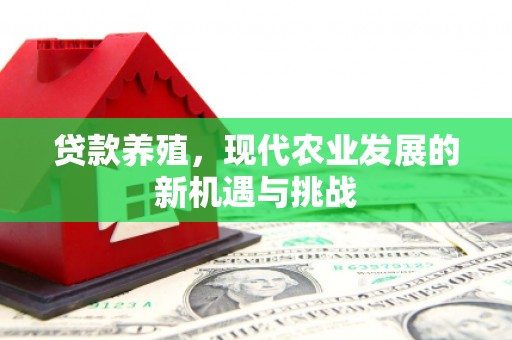 安乐贷款养殖，现代农业发展的新机遇与挑战