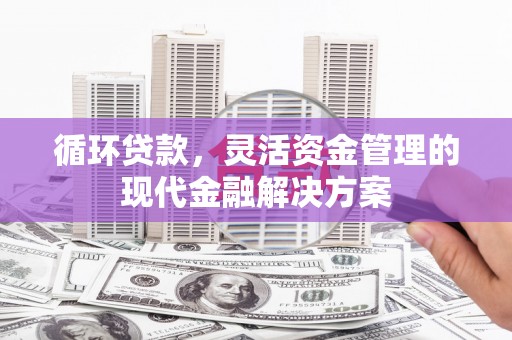 安乐循环贷款，灵活资金管理的现代金融解决方案