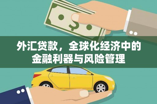 安乐外汇贷款，全球化经济中的金融利器与风险管理