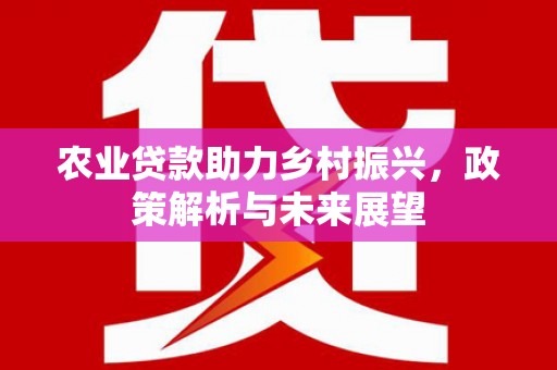 安乐农业贷款助力乡村振兴，政策解析与未来展望