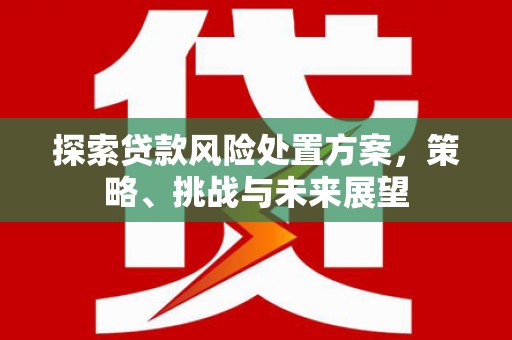 安乐探索贷款风险处置方案，策略、挑战与未来展望