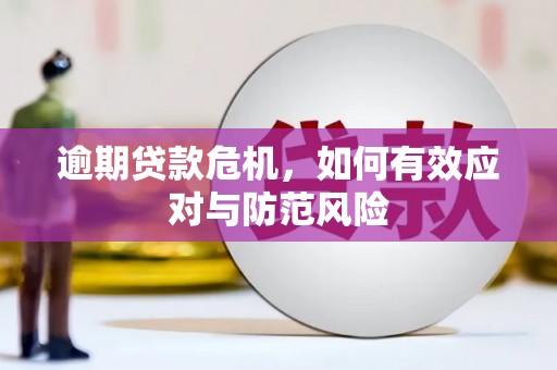 安乐逾期贷款危机，如何有效应对与防范风险