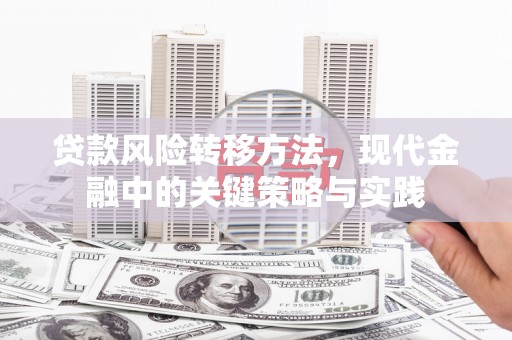 安乐贷款风险转移方法，现代金融中的关键策略与实践