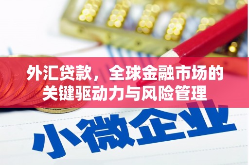 安乐外汇贷款，全球金融市场的关键驱动力与风险管理