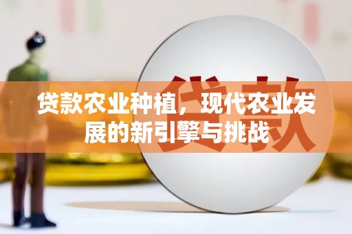 安乐贷款农业种植，现代农业发展的新引擎与挑战