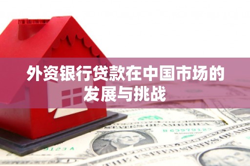 安乐外资银行贷款在中国市场的发展与挑战