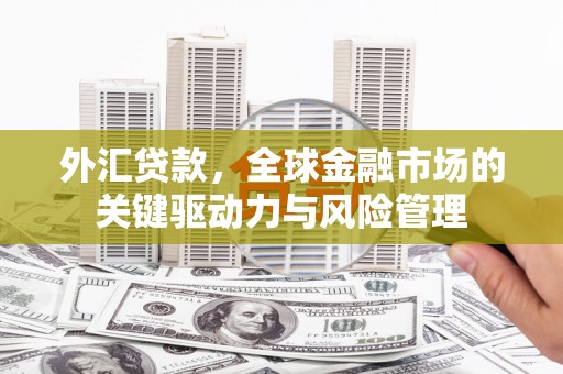 安乐外汇贷款，全球金融市场的关键驱动力与风险管理