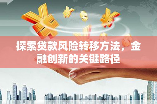 安乐探索贷款风险转移方法，金融创新的关键路径