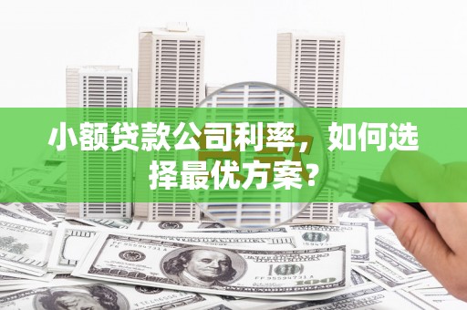 安乐小额贷款公司利率，如何选择最优方案？