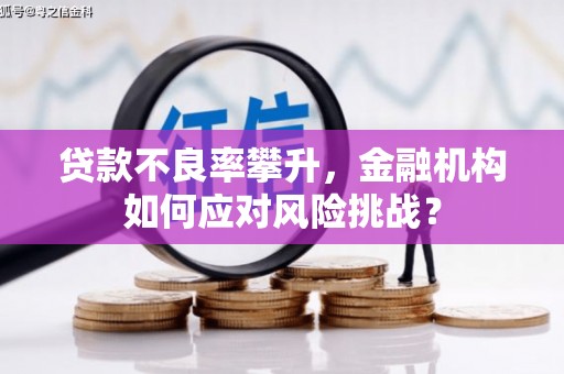 安乐贷款不良率攀升，金融机构如何应对风险挑战？
