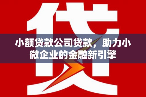 安乐小额贷款公司贷款，助力小微企业的金融新引擎