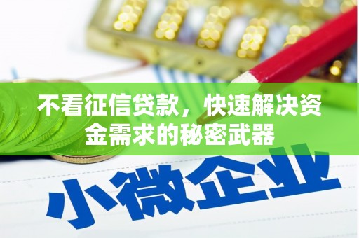 安乐不看征信贷款，快速解决资金需求的秘密武器