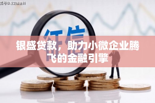 安乐银盛贷款，助力小微企业腾飞的金融引擎