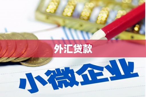 安乐外汇贷款