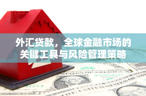 安乐外汇贷款，全球金融市场的关键工具与风险管理策略