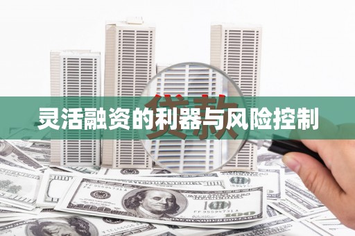安乐灵活融资的利器与风险控制