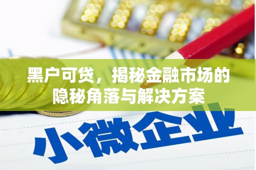 安乐黑户可贷，揭秘金融市场的隐秘角落与解决方案