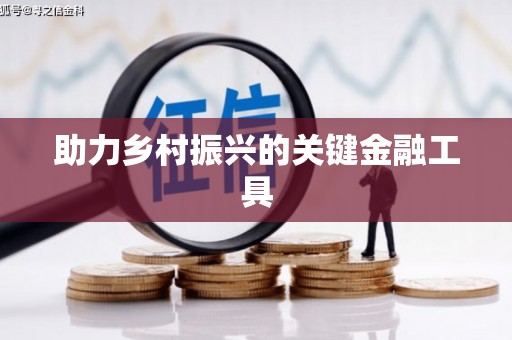 安乐助力乡村振兴的关键金融工具