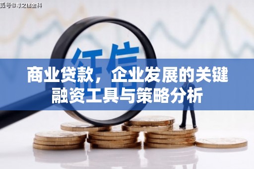 安乐商业贷款，企业发展的关键融资工具与策略分析