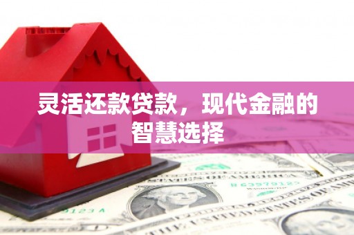 安乐灵活还款贷款，现代金融的智慧选择