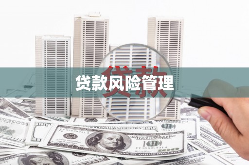 安乐贷款风险管理