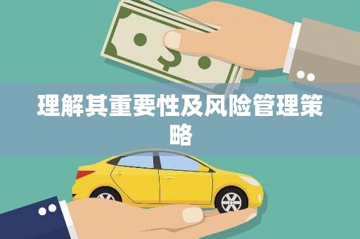 安乐理解其重要性及风险管理策略
