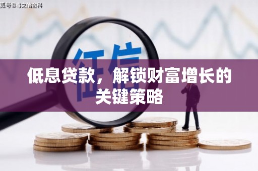 安乐低息贷款，解锁财富增长的关键策略