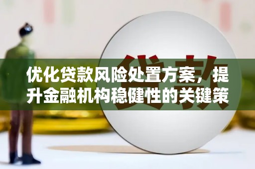 安乐优化贷款风险处置方案，提升金融机构稳健性的关键策略