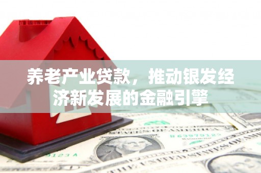 安乐养老产业贷款，推动银发经济新发展的金融引擎