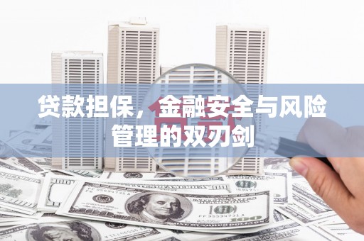 安乐贷款担保，金融安全与风险管理的双刃剑