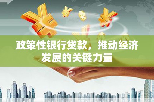 安乐政策性银行贷款，推动经济发展的关键力量