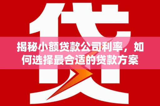 安乐揭秘小额贷款公司利率，如何选择最合适的贷款方案