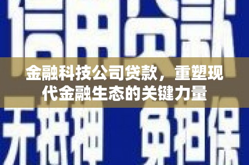 安乐金融科技公司贷款，重塑现代金融生态的关键力量