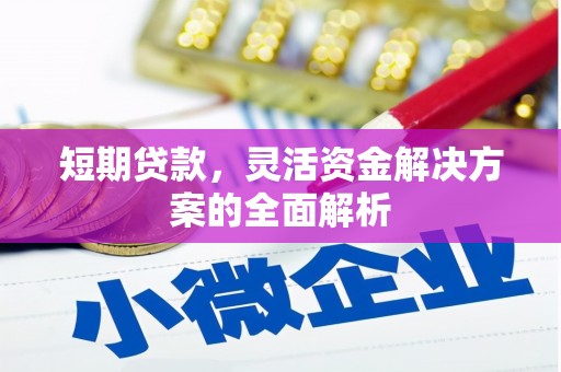 安乐短期贷款，灵活资金解决方案的全面解析