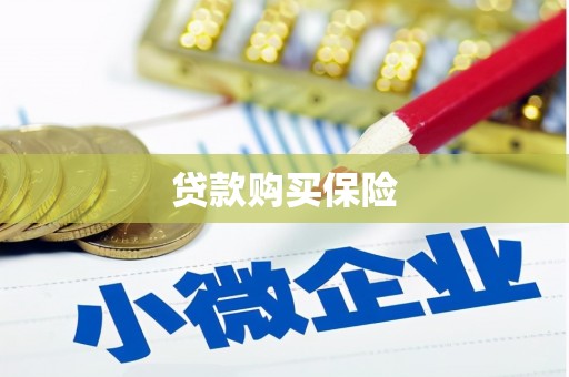 安乐贷款购买保险