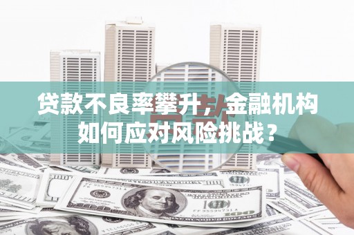 安乐贷款不良率攀升，金融机构如何应对风险挑战？