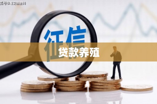 安乐贷款养殖