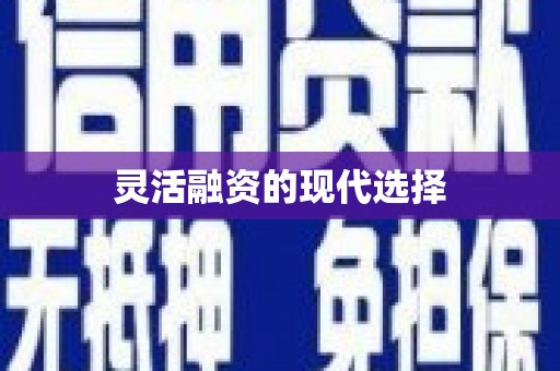 安乐灵活融资的现代选择