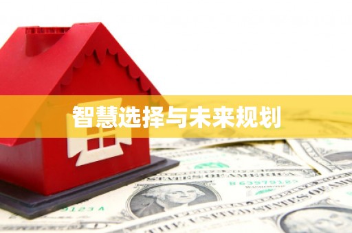 安乐智慧选择与未来规划