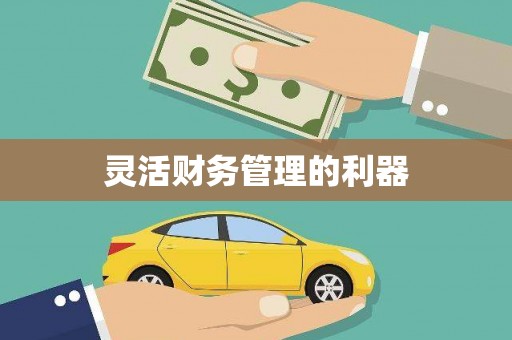 安乐灵活财务管理的利器