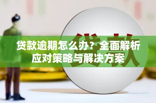 安乐贷款逾期怎么办？全面解析应对策略与解决方案
