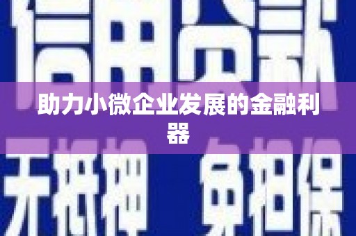 安乐助力小微企业发展的金融利器
